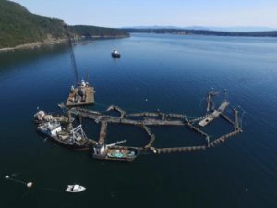 Lummi Blog